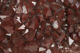 Red Cap Amethyst Crystal Cluster - Thunder Bay, Ontario #244450-3